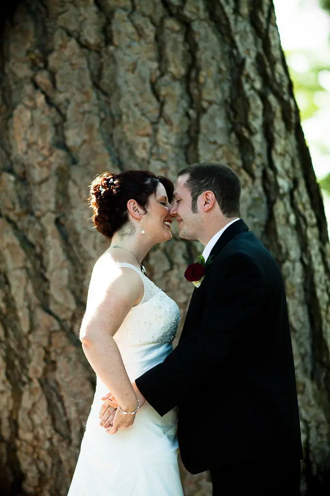 the first kiss newlyweds kissing under a tree during the ceremony