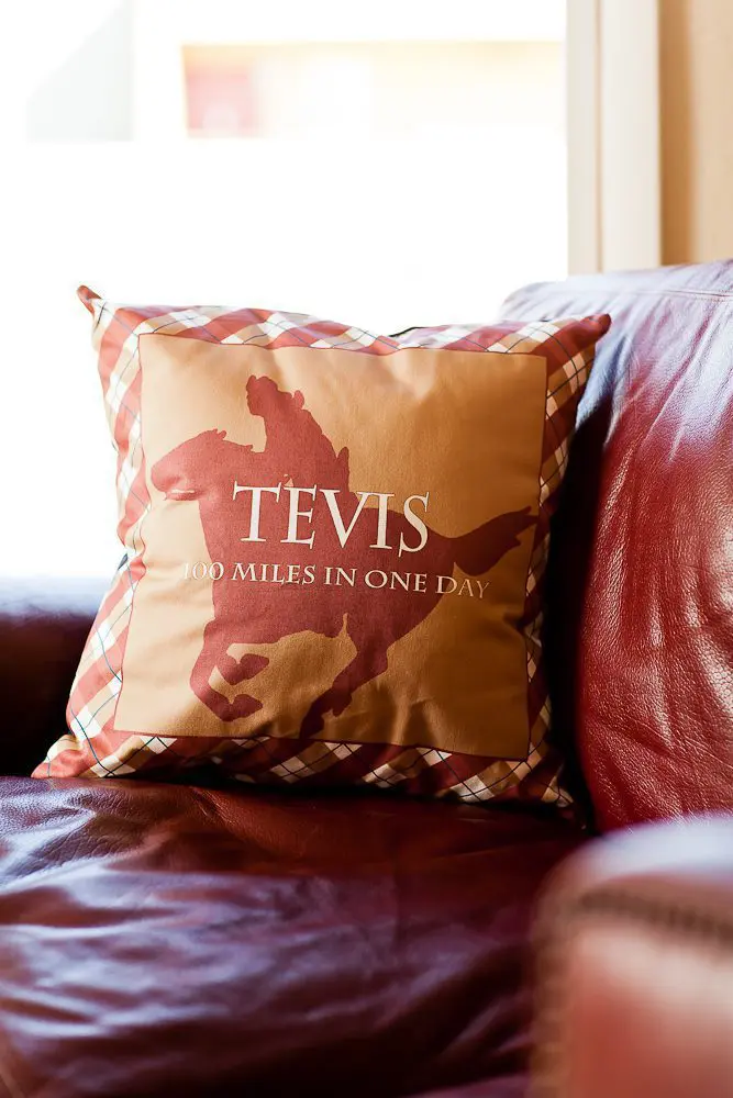cute throw pillow