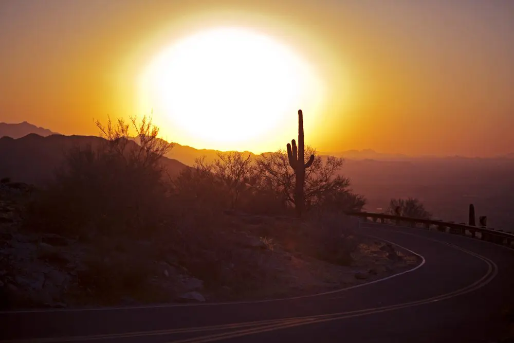 Phoenix Wedding Photographer