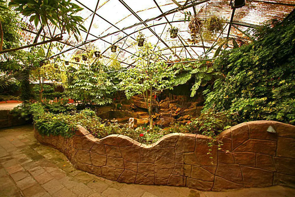 reception site with waterfall