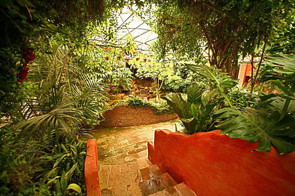 steps to the waterfall at boojum tree
