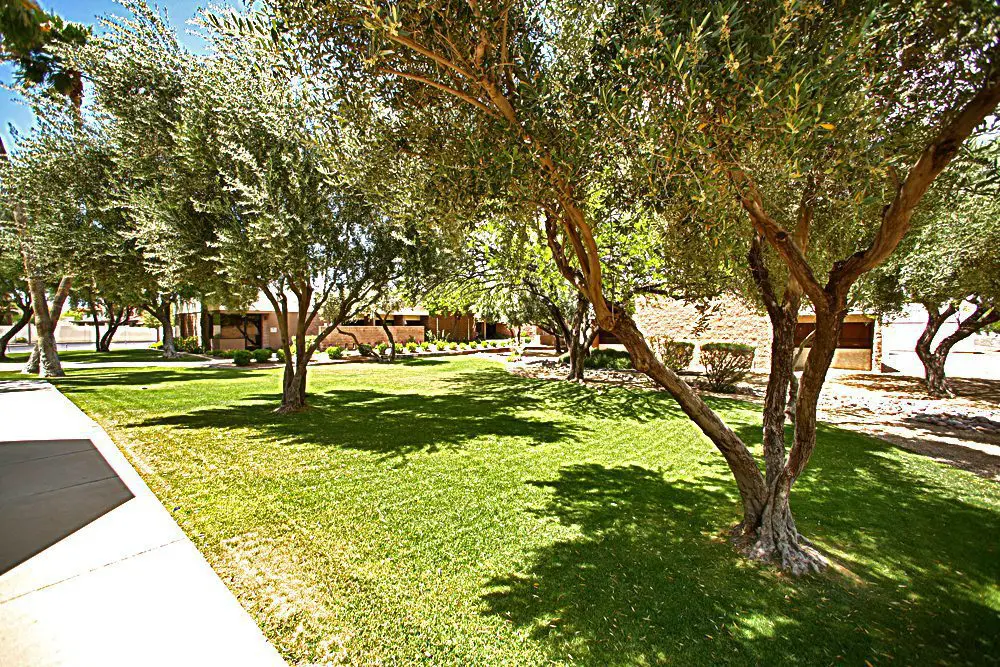 Great Space for formal wedding photos