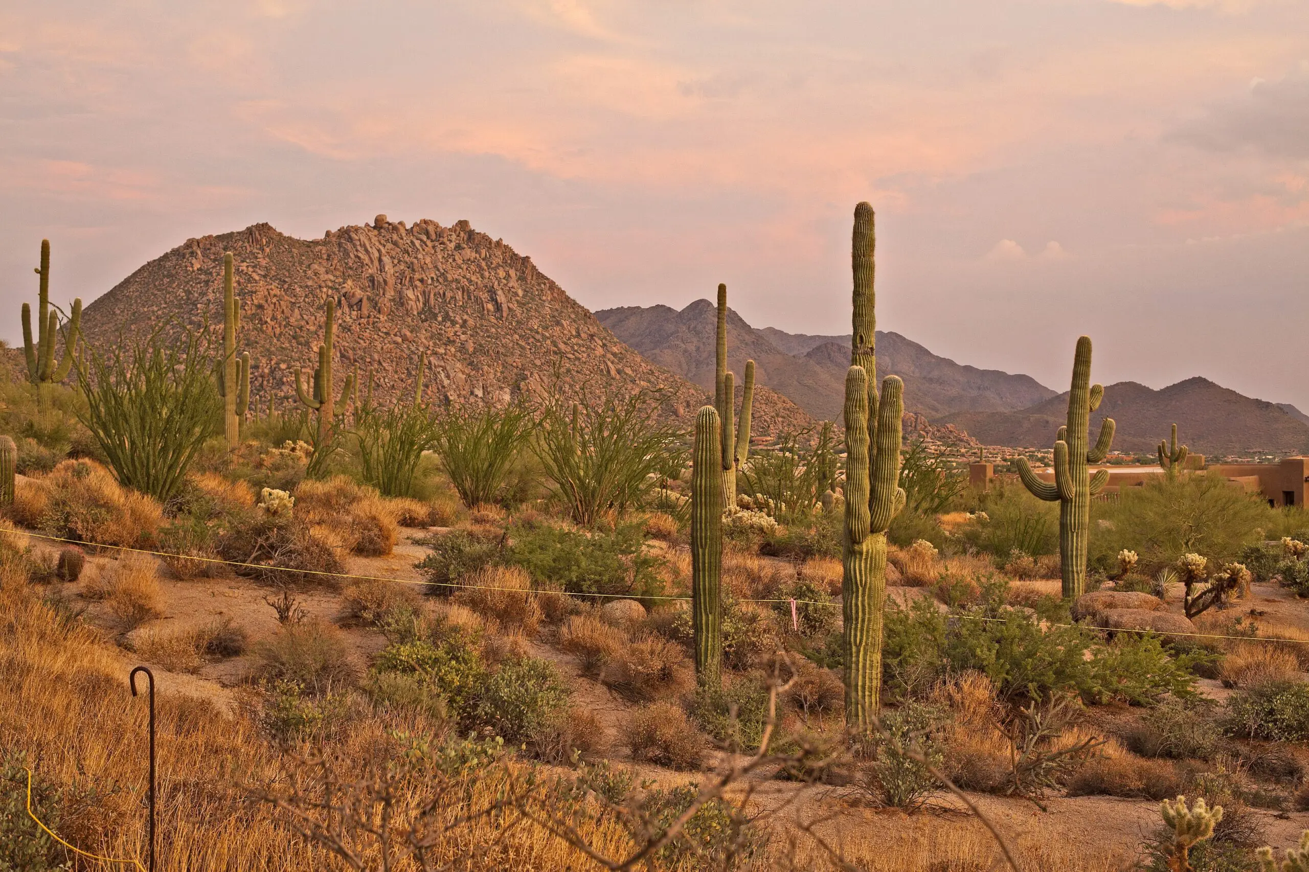North Scottsdale Views