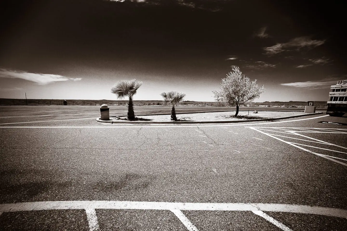 Scottsdale Professional Photographer