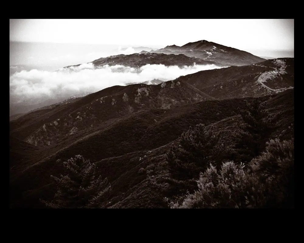 Professional Photographer in Phoenix, Arizona