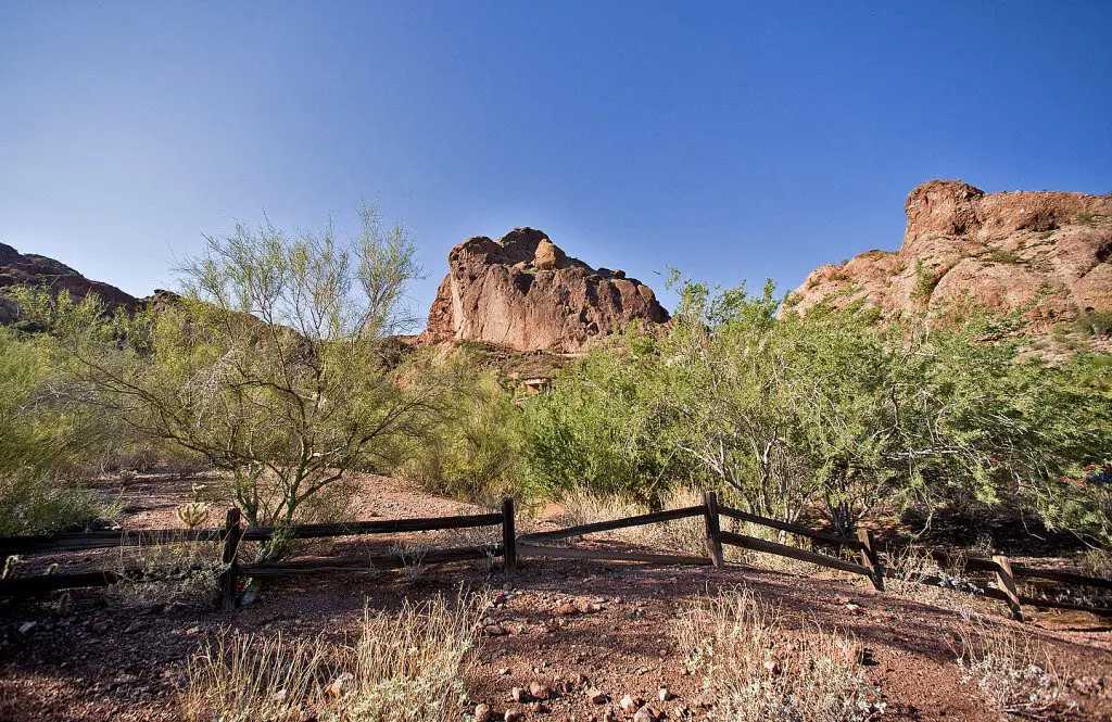 Hiking in Phoenix