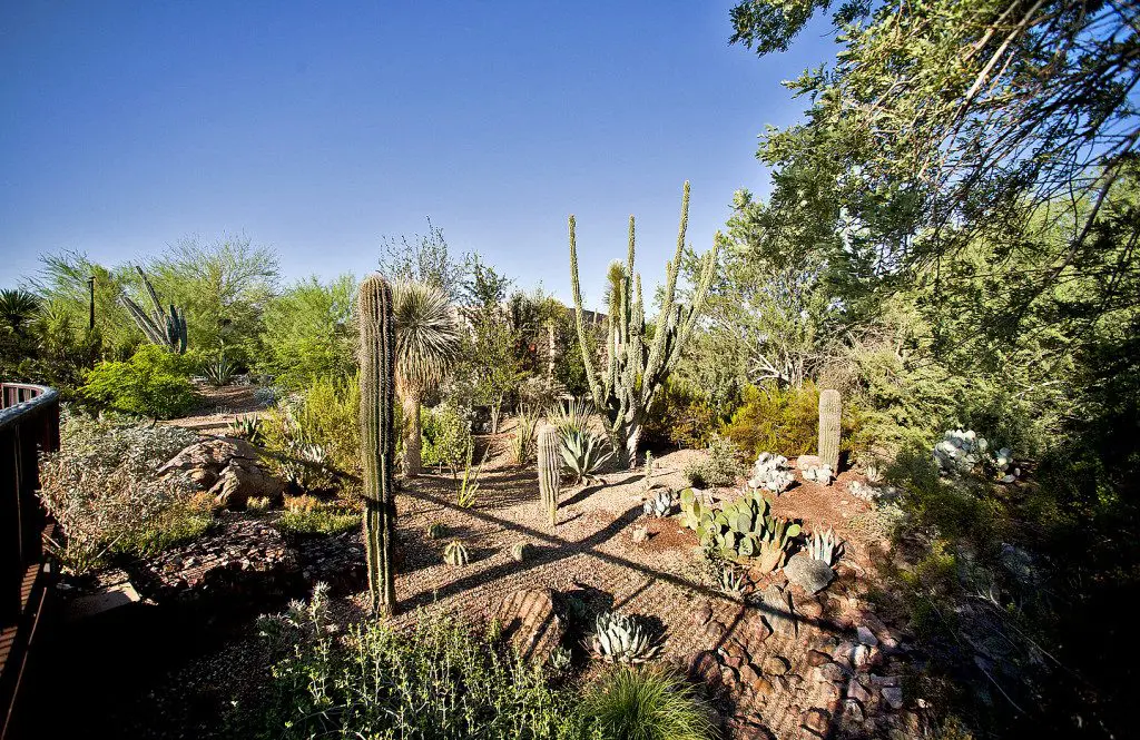 Phoenix Wedding Venues