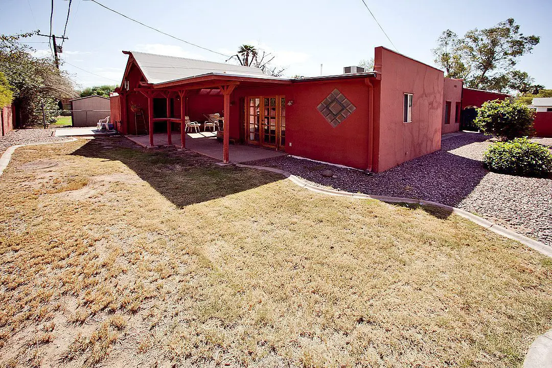 back yard