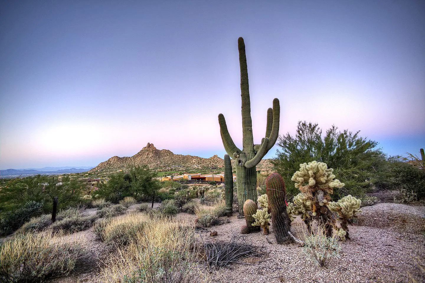 views of pinnacle peak