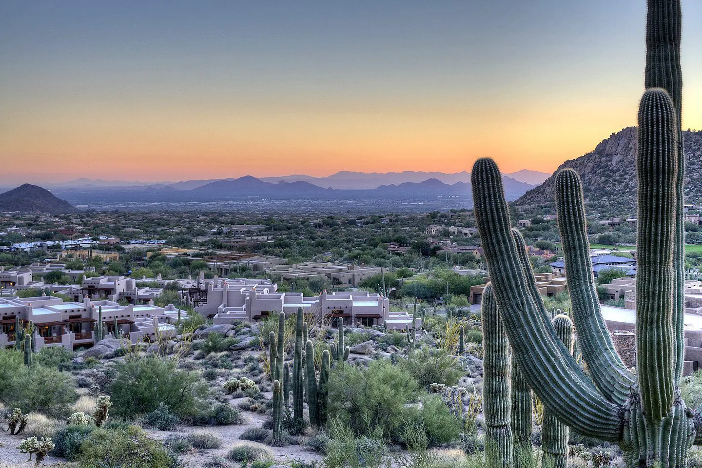 phoenix city lights