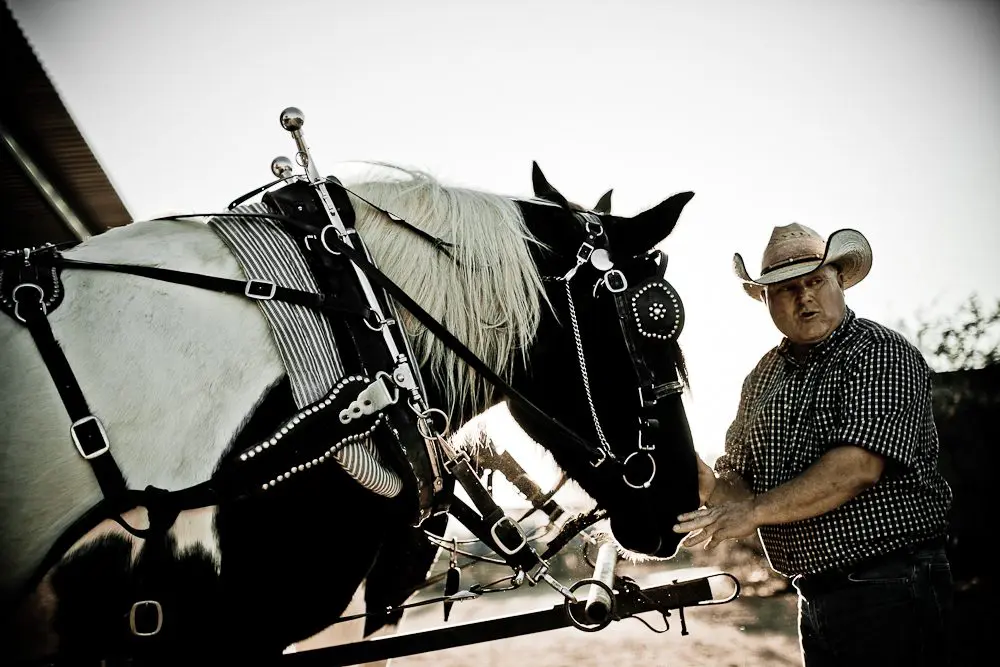 scottsdale wagon rides
