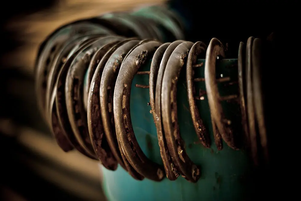 horse shoes