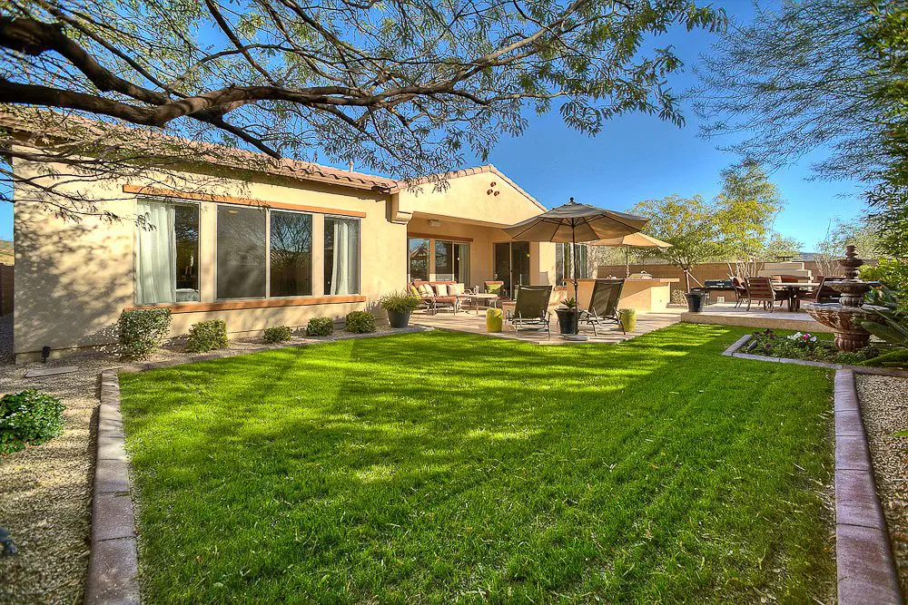 the backyard with grass
