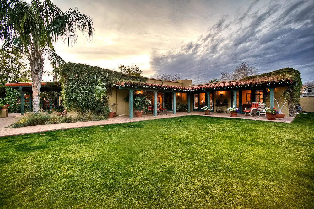 back yard lawn