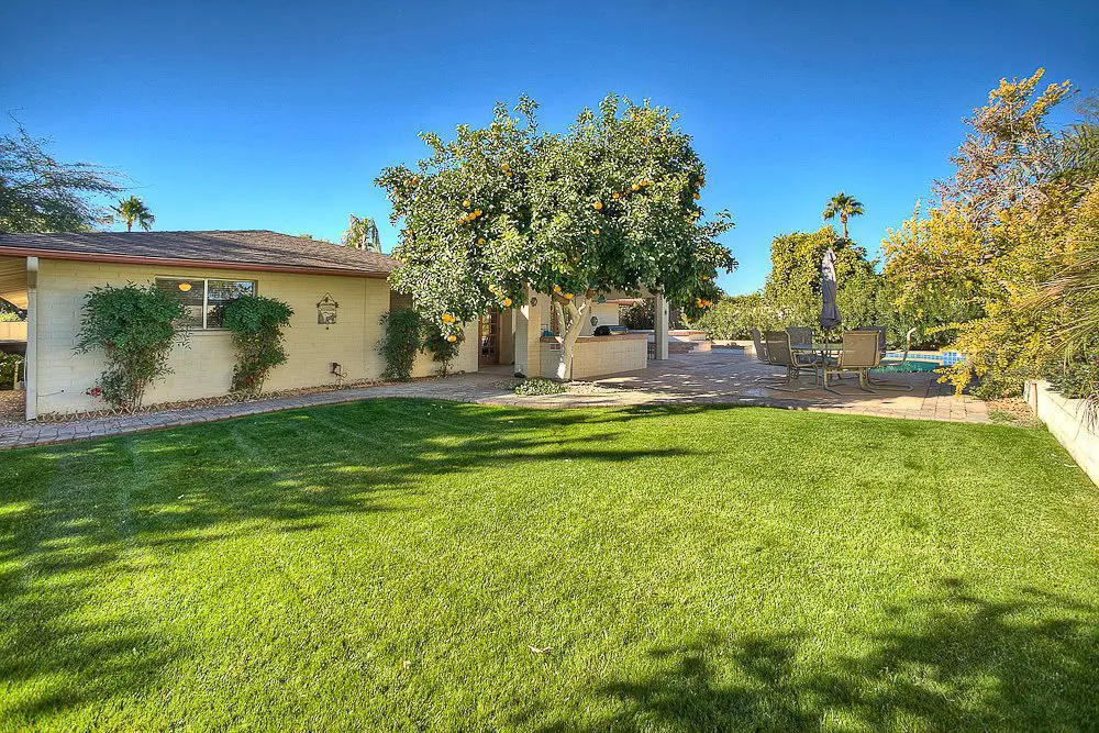beautifully landscaped backyard