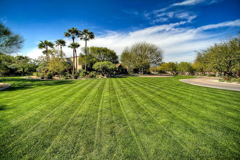 huge yard