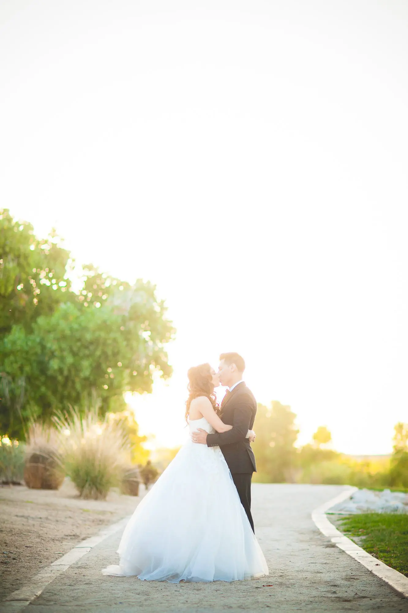 Stephen K. Shefrin Photography
