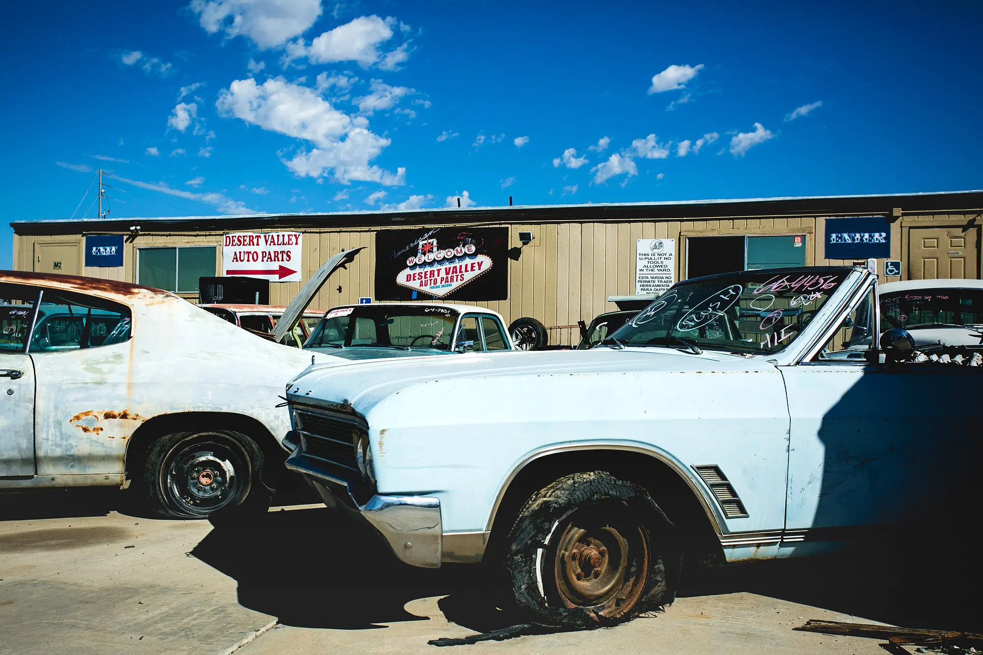 phoenix professional photographers