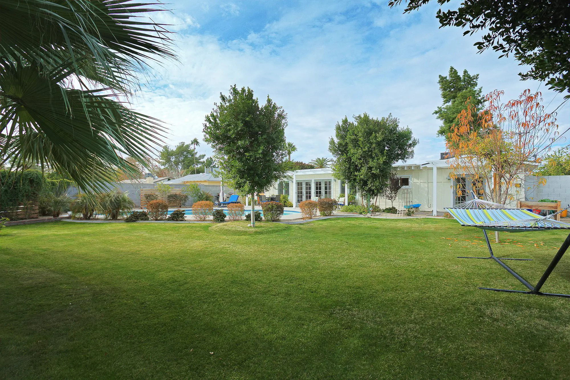 lawn