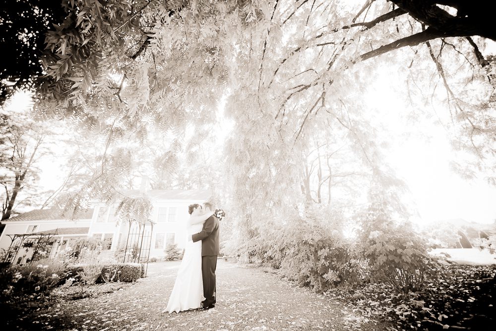 artsy shot of bride and groom under tree
