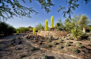 Best Places to visit in Phoenix