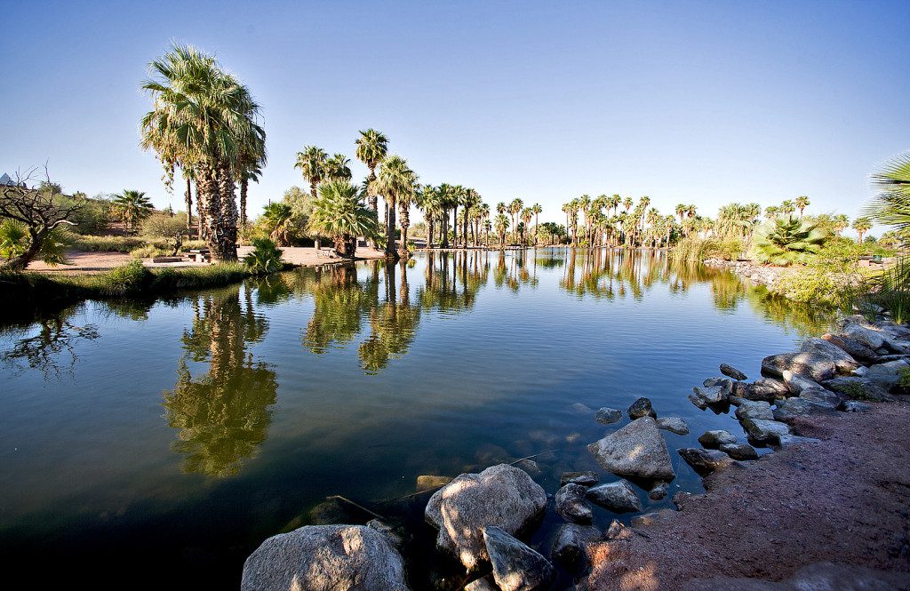 Where to fish in Phoenix