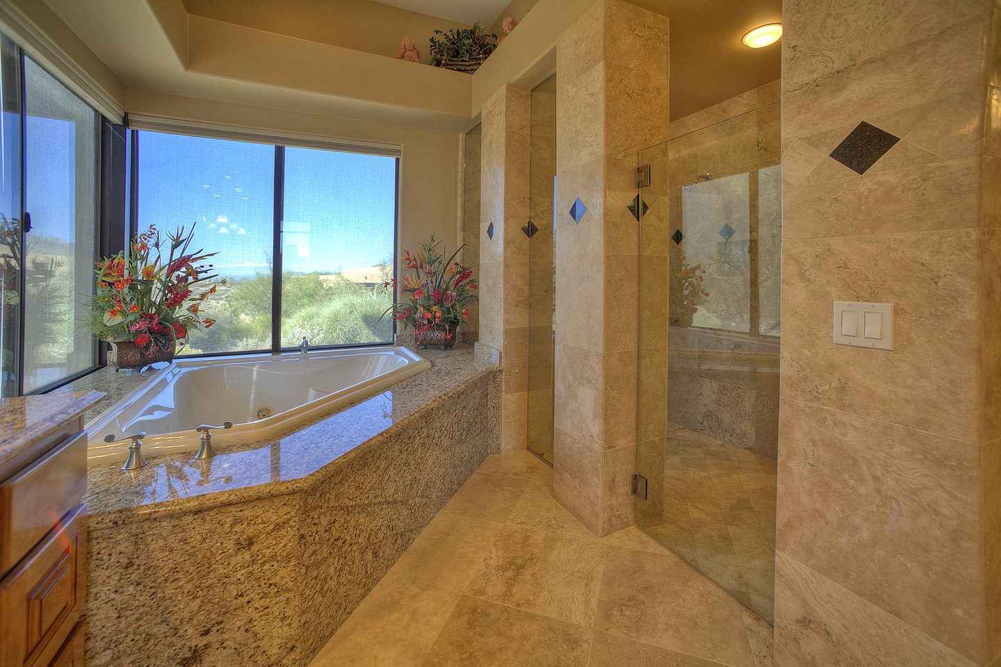 master tub and shower