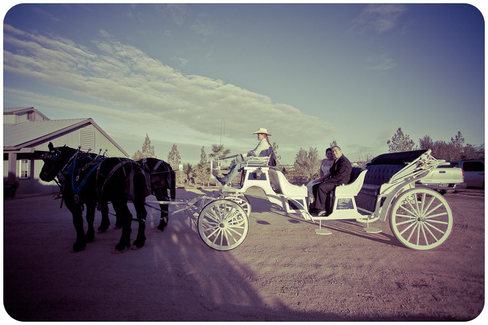 horse carriage ride at arizona wedding