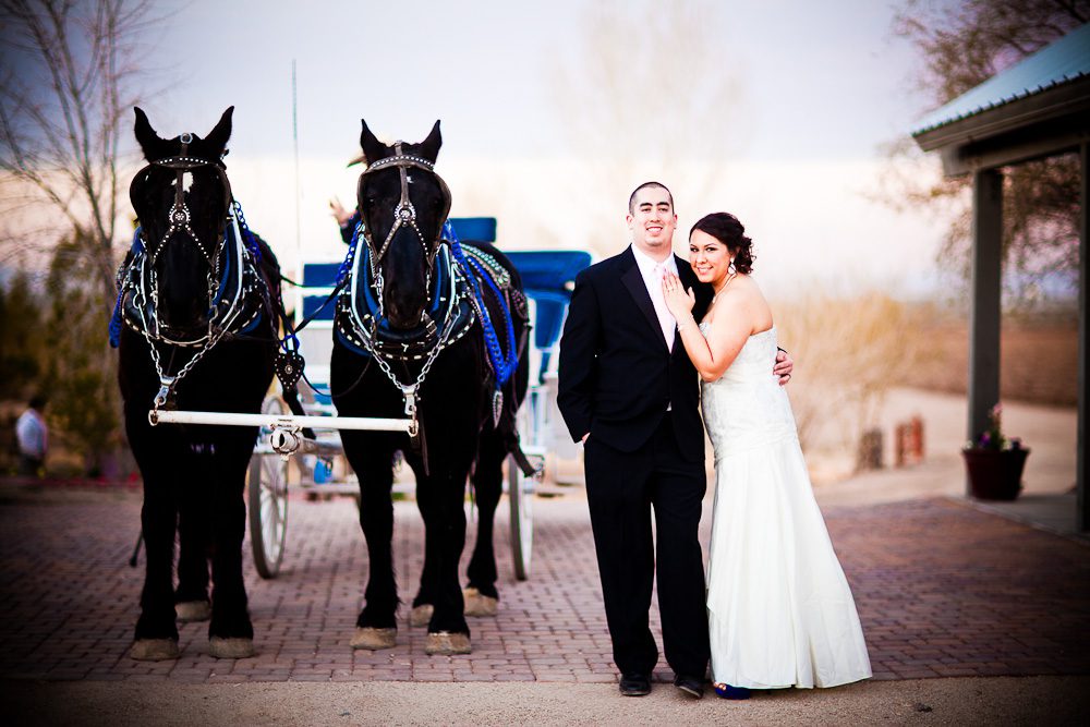 carriage rides at the wedding